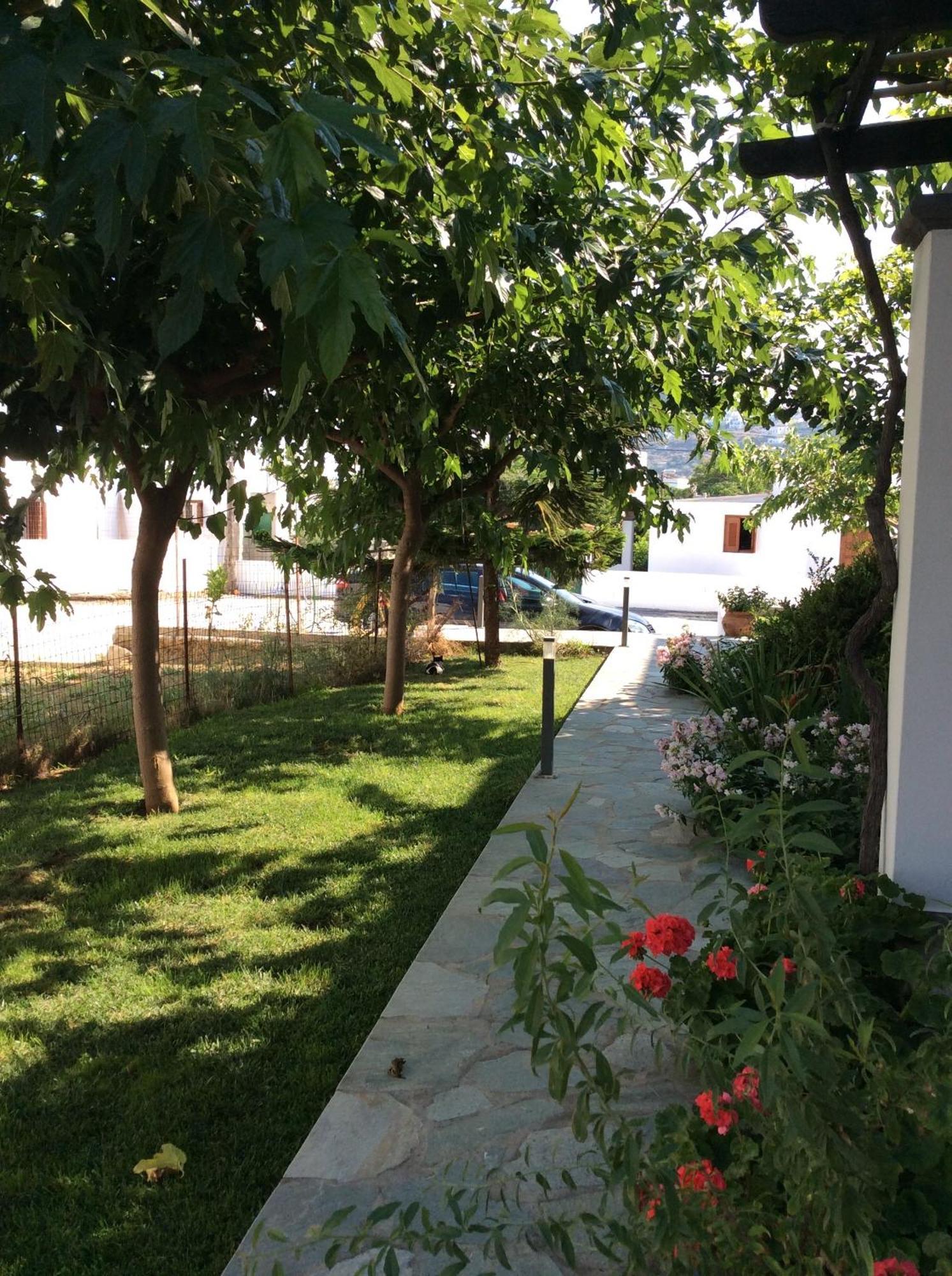 Eleana Studios Skyros Ruang foto