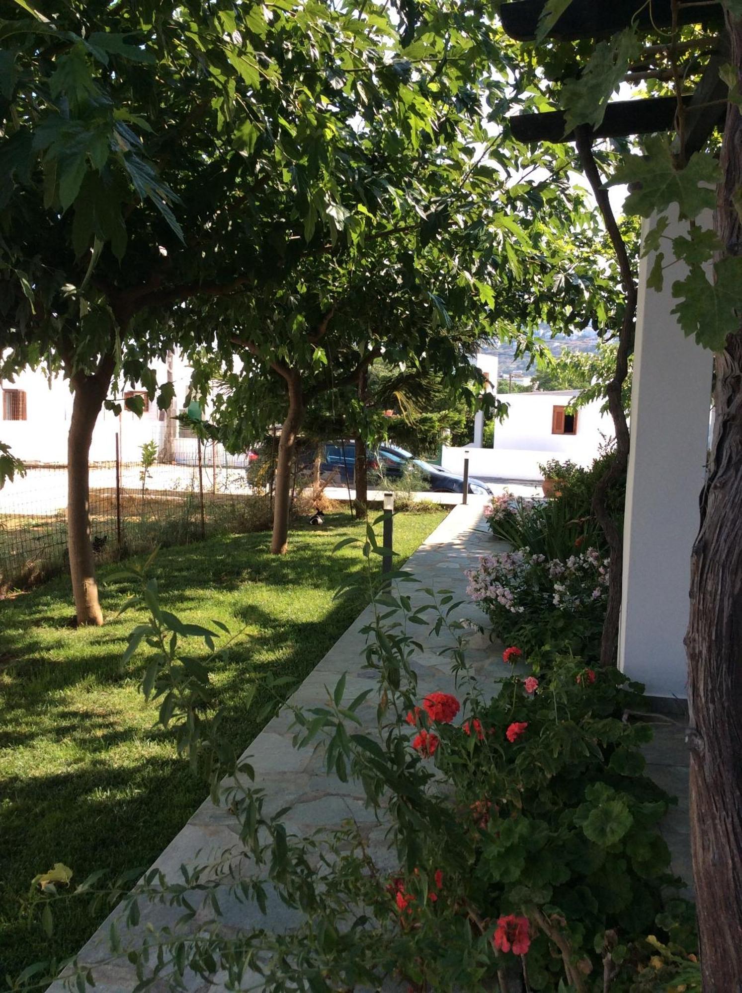Eleana Studios Skyros Bagian luar foto