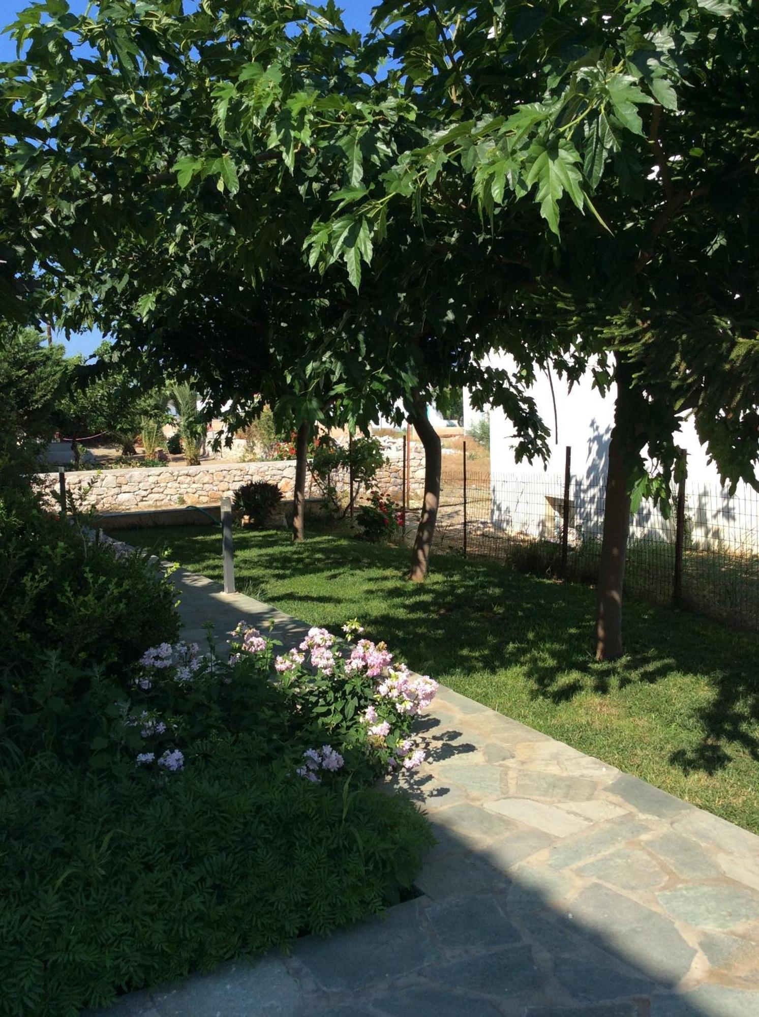 Eleana Studios Skyros Bagian luar foto