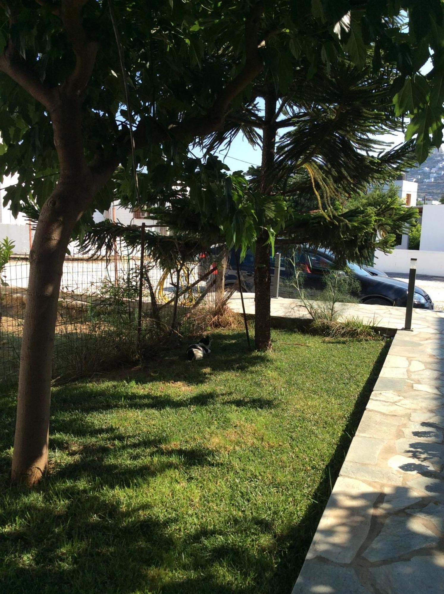 Eleana Studios Skyros Bagian luar foto