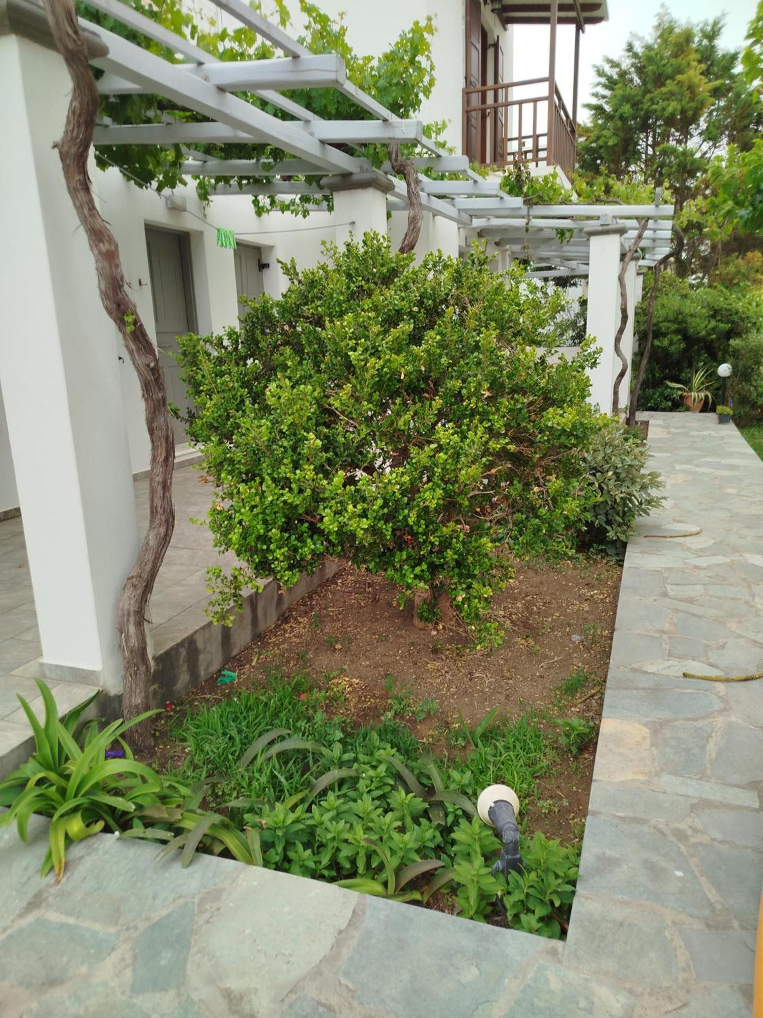 Eleana Studios Skyros Bagian luar foto